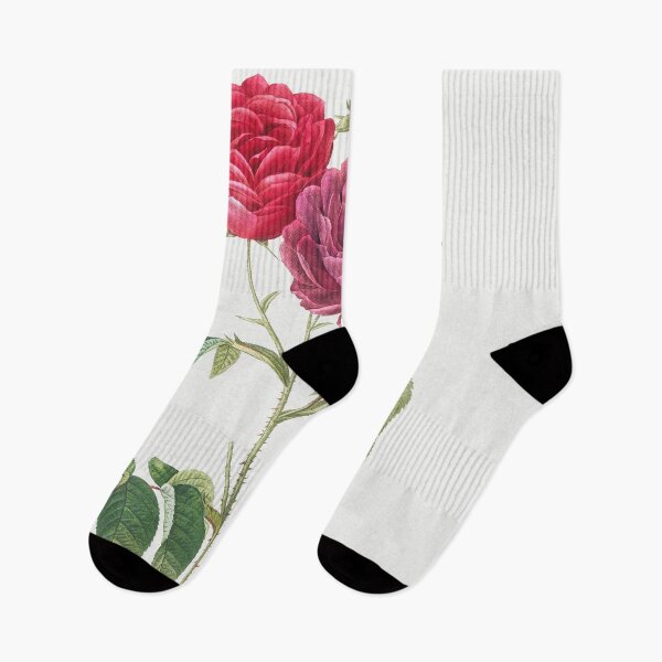 Item preview, Les Roses by Pierre-Joseph Redouté designed and sold by EsotericBotanic.