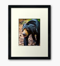 Yogi Framed Print