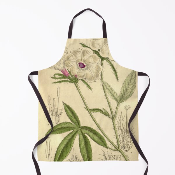 Item preview, Ipomoea pes tigridis longibracteata 145 8806 designed and sold by EsotericBotanic.