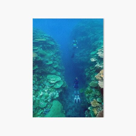 Bandjin Canyons Art Board Print