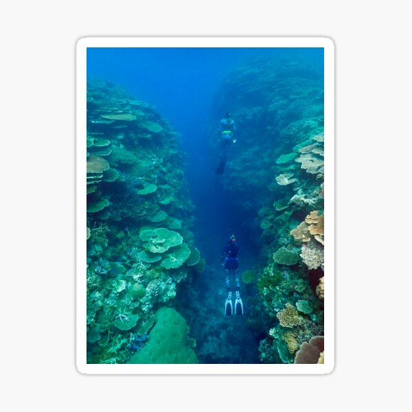 Bandjin Canyons Sticker