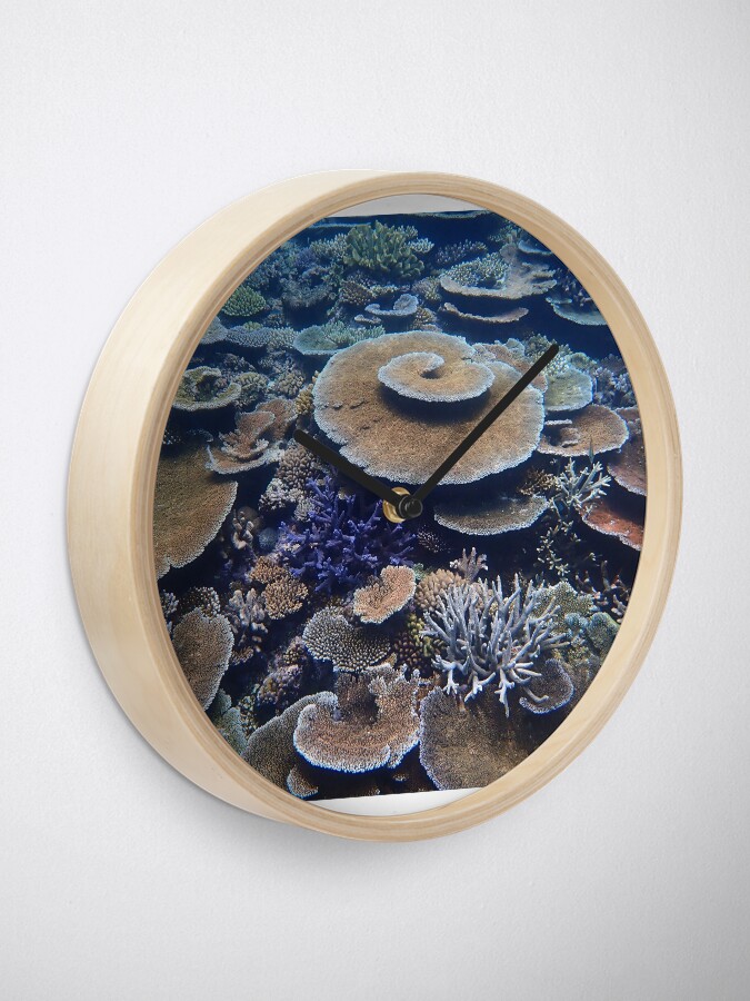 Alternate view of Bandjin Reefs III Clock