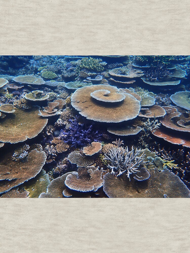 Bandjin Reefs III by neoniphon