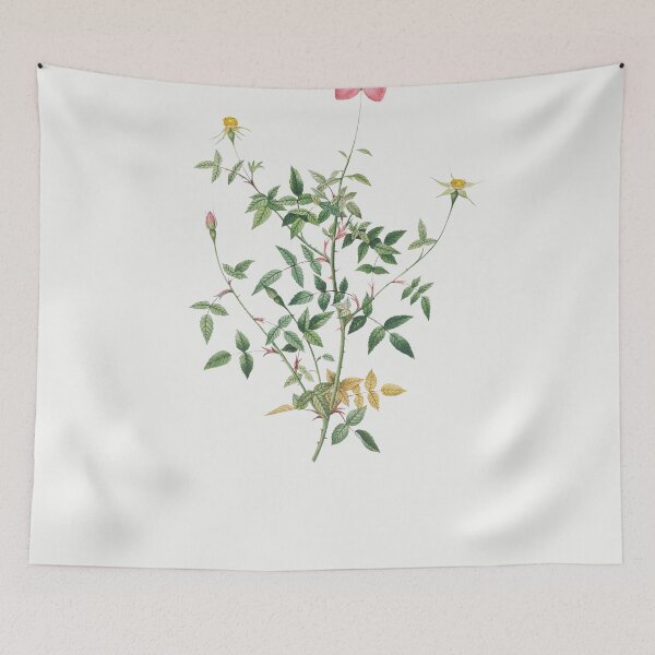 Item preview, Les Roses by Pierre-Joseph Redouté designed and sold by EsotericBotanic.