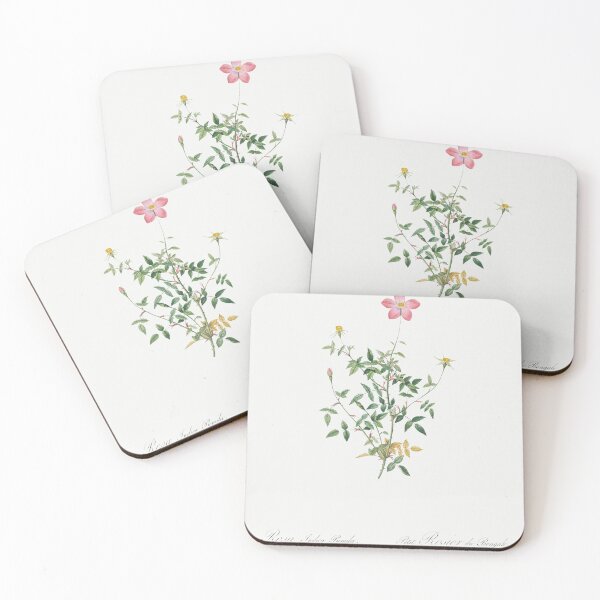 Item preview, Les Roses by Pierre-Joseph Redouté designed and sold by EsotericBotanic.
