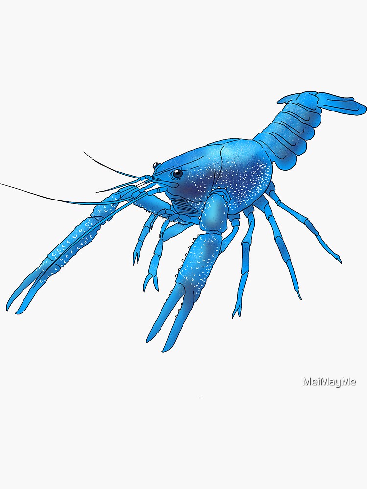 Big Bold and Rusty Invasive Crayfish has Claws  The Outside Story