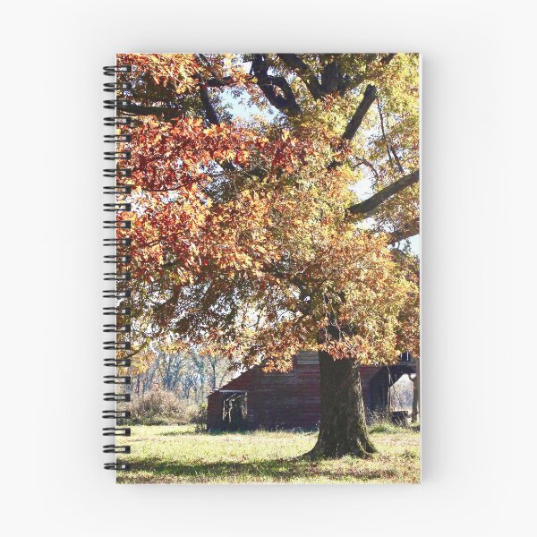 Item preview, Barn near Mena Arkansas.  designed and sold by OpheliaLamp.