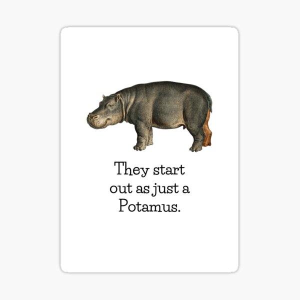 Hippo Humor Gifts Merchandise Redbubble