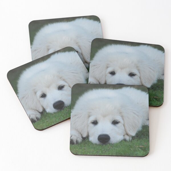 Item preview, Riley Maremma sheepdog  designed and sold by Melissa Bosson.