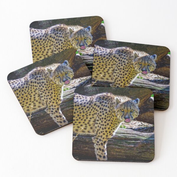 Item preview, Wild Cheetah designed and sold by Rivercoatl.