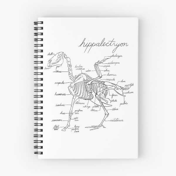 Item preview, Hippalectryon designed and sold by emilyr217.