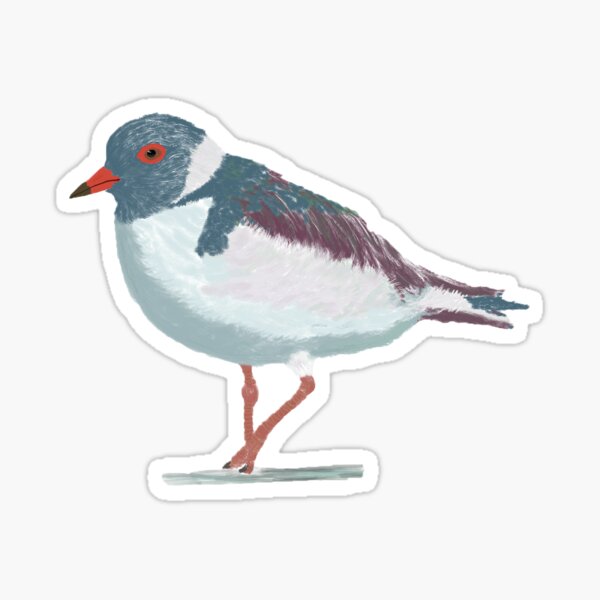Item preview, Hooded Plover Blue designed and sold by amandamandy.