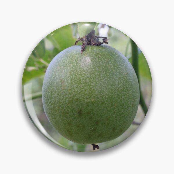 Item preview, Passionfruit designed and sold by STHogan.