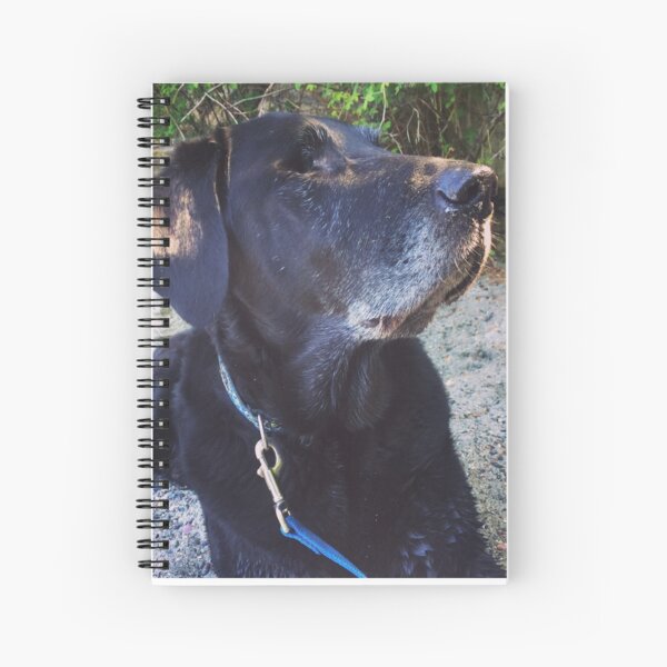 Rooster the Dog on the Beach Spiral Notebook