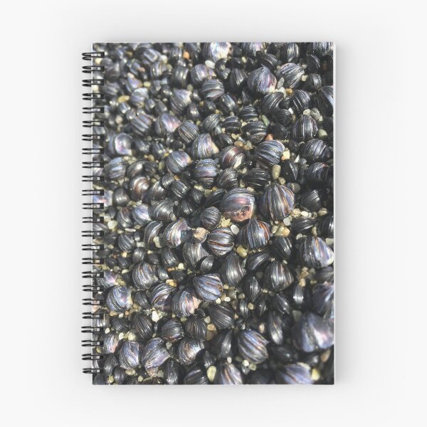 Item preview, Baby mussels  designed and sold by Naturevibez.