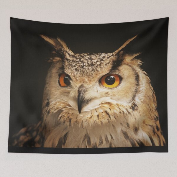 Item preview, owl face photo  designed and sold by Carla Nay.