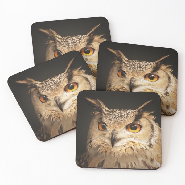 Item preview, owl face photo  designed and sold by Carla Nay.