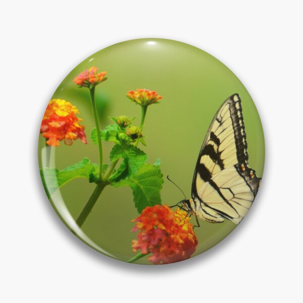 Item preview, Flower Feeding Butterfly designed and sold by Felicity-K.
