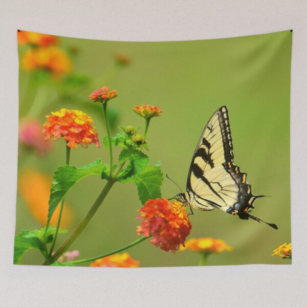 Item preview, Flower Feeding Butterfly designed and sold by Felicity-K.