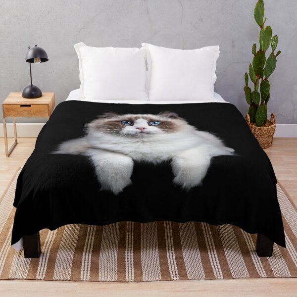 Item preview, Cutty the Blue Eyed Cat Cute Cat Lover Gifts Funny t shirt designed and sold by OMG Outfits .