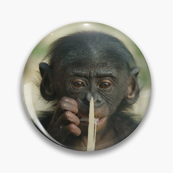 Item preview, Baby Bonobo designed and sold by rawshutterbug.