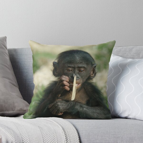 Item preview, Baby Bonobo designed and sold by rawshutterbug.