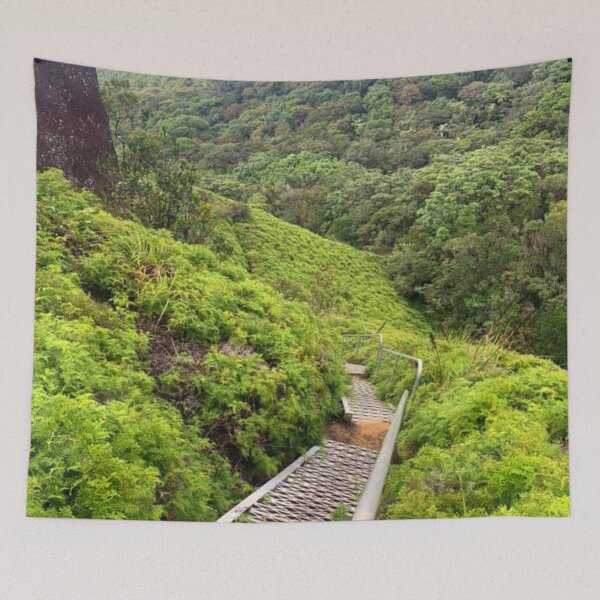 Item preview, Devils Thumb Stairway designed and sold by Felicity-K.