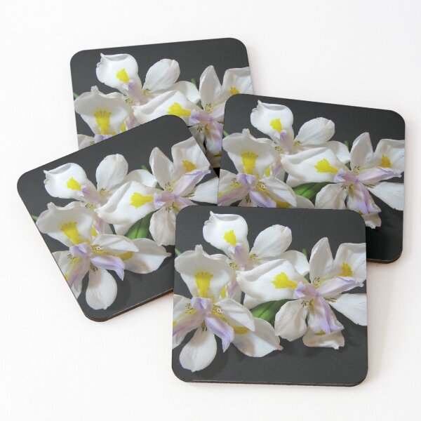 Item preview, Beauty & Light designed and sold by Kathie Nichols.