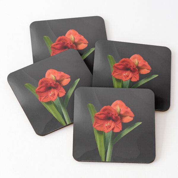 Item preview, Red Amaryllis designed and sold by Lynn Bolt.