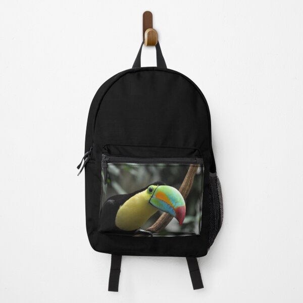 Item preview, keel-billed, sulfur-breasted or rainbow-billed toucan (Ramphastos sulfuratus) designed and sold by Schoensl.