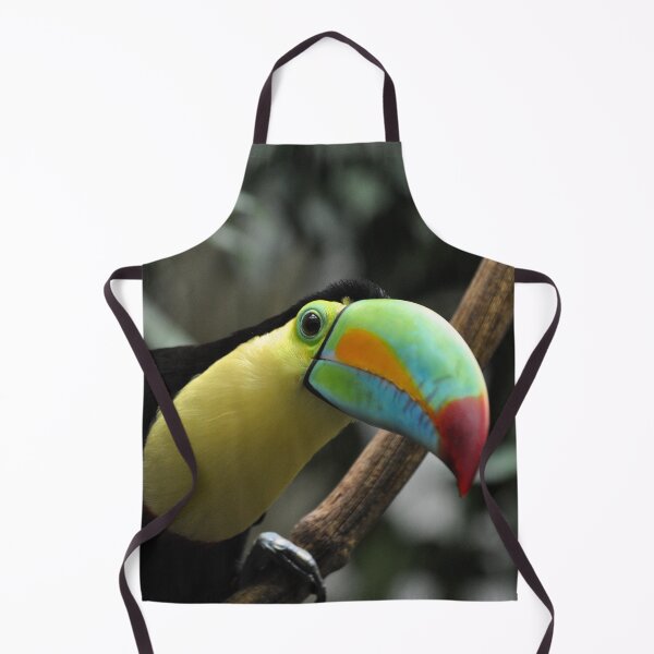 Item preview, keel-billed, sulfur-breasted or rainbow-billed toucan (Ramphastos sulfuratus) designed and sold by Schoensl.