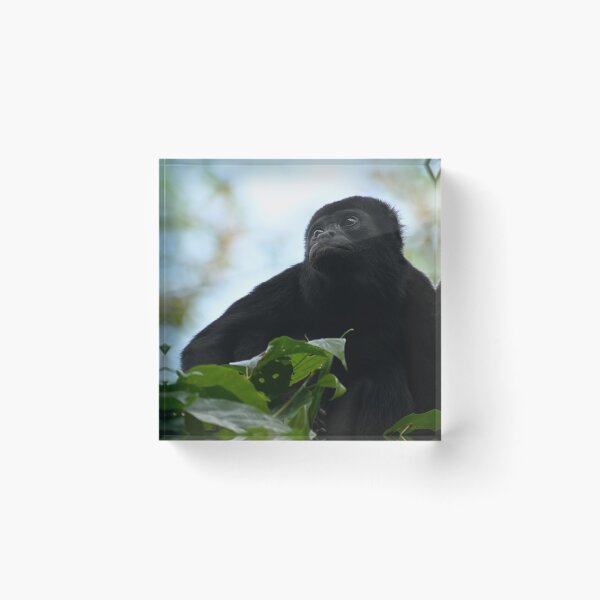 Item preview, howler monkey designed and sold by JIM-AND-ME.