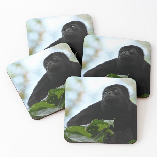 Item preview, howler monkey designed and sold by JIM-AND-ME.