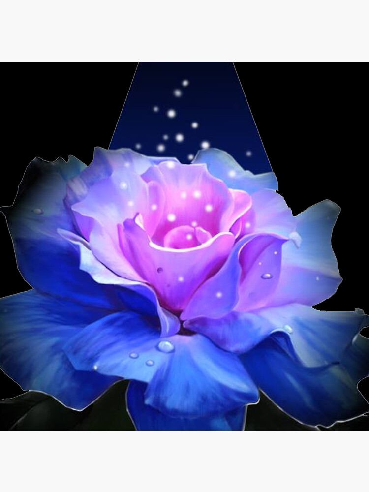 Enchanted rose by Amethystum