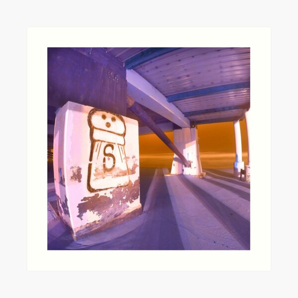 Saltsbury Beach Art Print