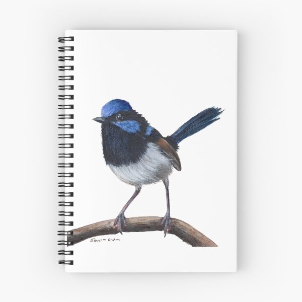 Artikelvorschau, Großartiger feenhafter Zaunkönig - australischer Vogel entworfen und verkauft von JanetMGraham.