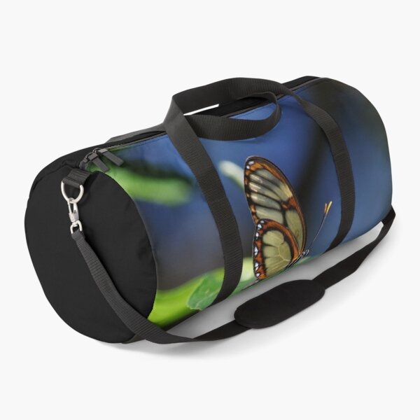 Item preview, Salapia Glasswing (Ithomia salapia) Butterfly Peru designed and sold by Schoensl.