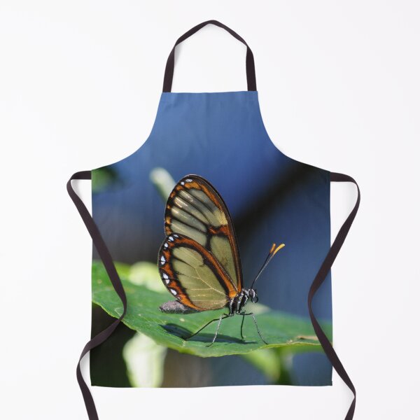 Item preview, Salapia Glasswing (Ithomia salapia) Butterfly Peru designed and sold by Schoensl.