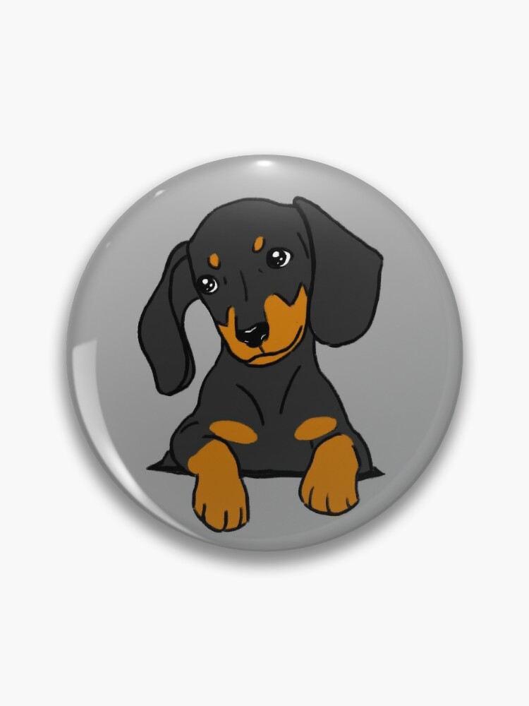 Pin on dachshund