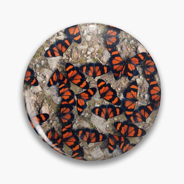 Item preview, Red-banded Altinote Peru designed and sold by Schoensl.