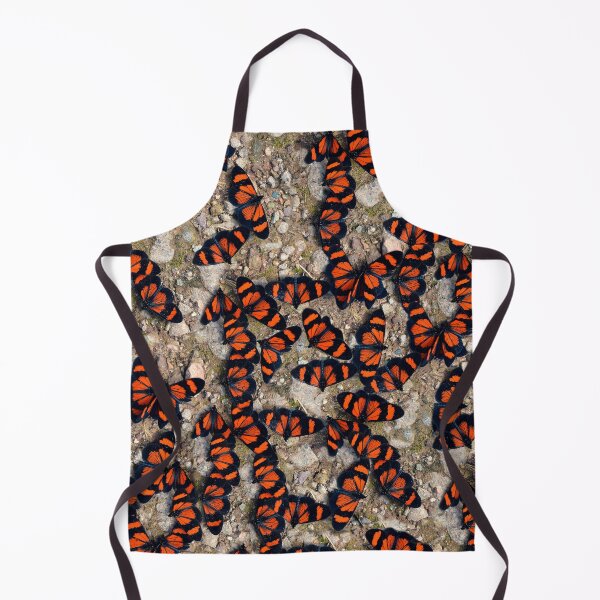 Item preview, Red-banded Altinote Peru designed and sold by Schoensl.