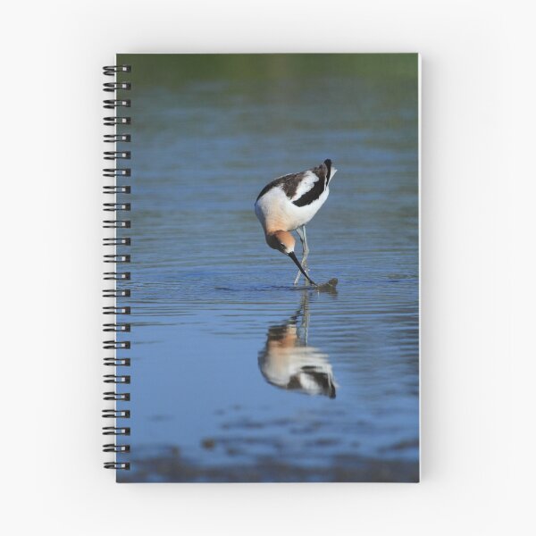 Item preview, American Avocet Searching For Food designed and sold by PsychoAlien.com.