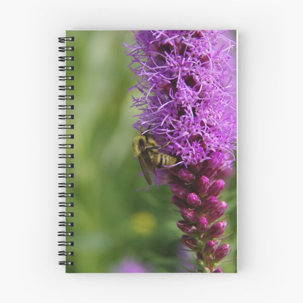 Item preview, Bumblebee on Gayfeather designed and sold by The Botanical Jason.