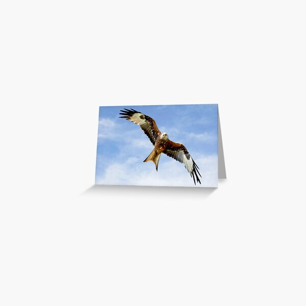 Item preview, Soaring Red Kite designed and sold by Martyn R Arnold Fine Art Nature & Landscape Photography.