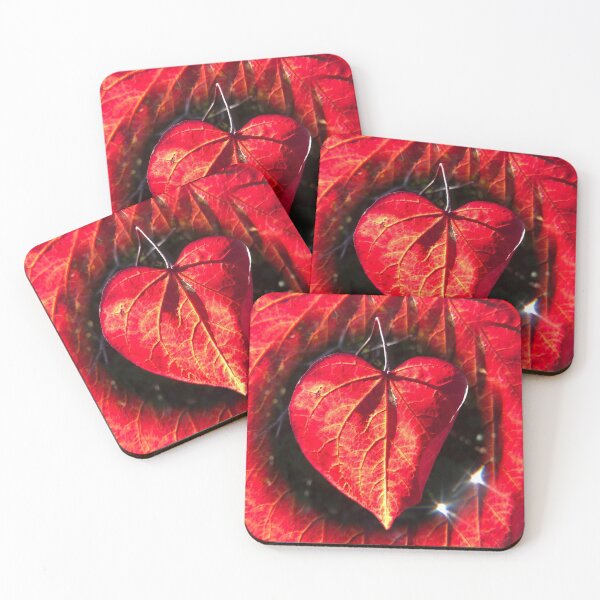 Love Heart Leaf Coasters (Set of 4)
