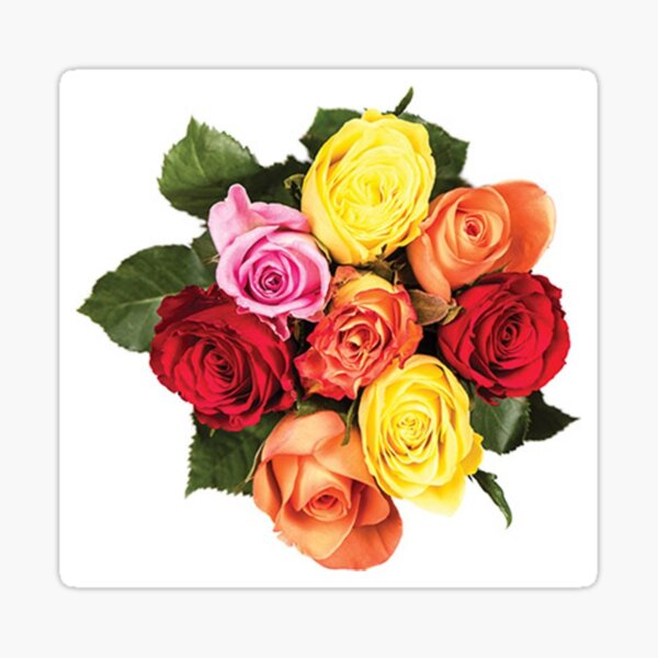 Item preview, Colourful Roses designed and sold by zachan57.