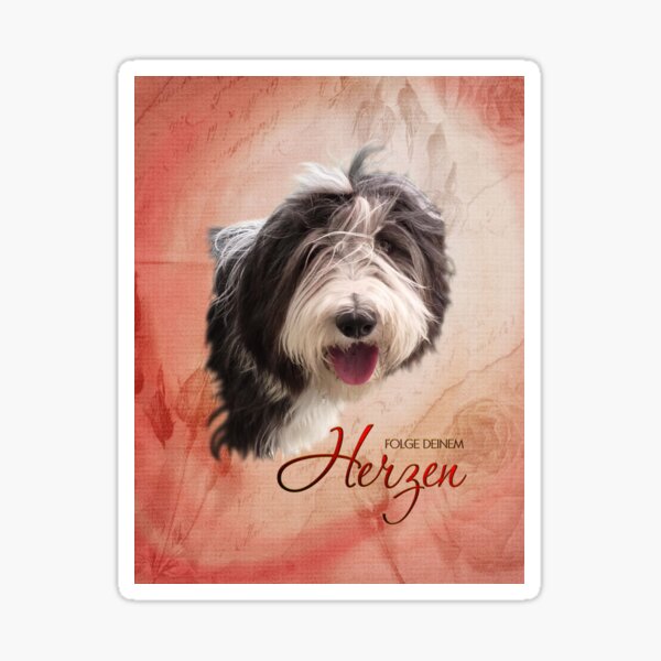 "Bearded Collie hearts" Sticker for Sale by PSDesign Redbubble