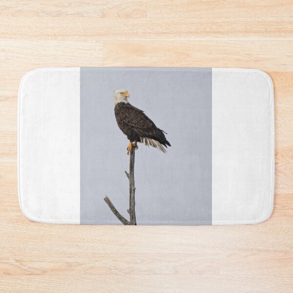 Item preview, Bald Eagle designed and sold by James Cumming.