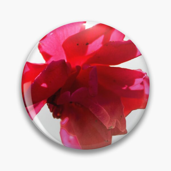 Item preview, rose bloom designed and sold by dnparker.