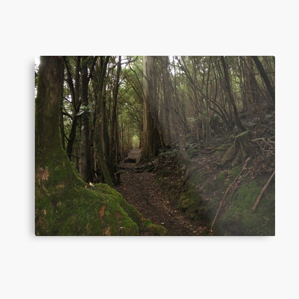 Item preview, Fern Glade Track designed and sold by pierredubrelle.